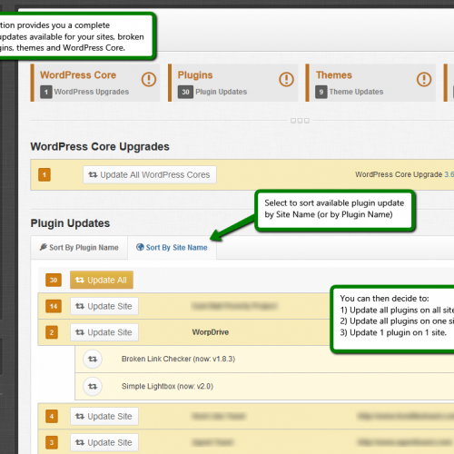 Multiple WordPress Management Features: Bulk Plugin and Theme Updates ...